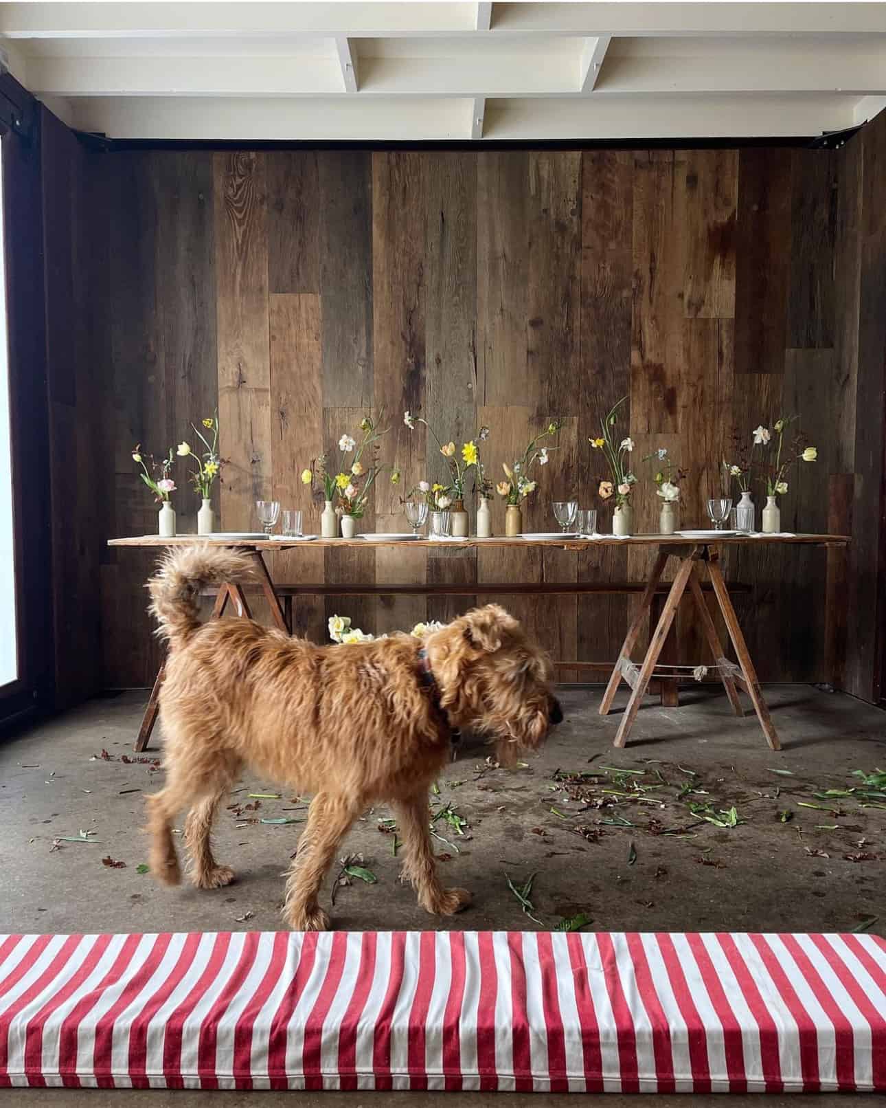 rustic oak panels 1