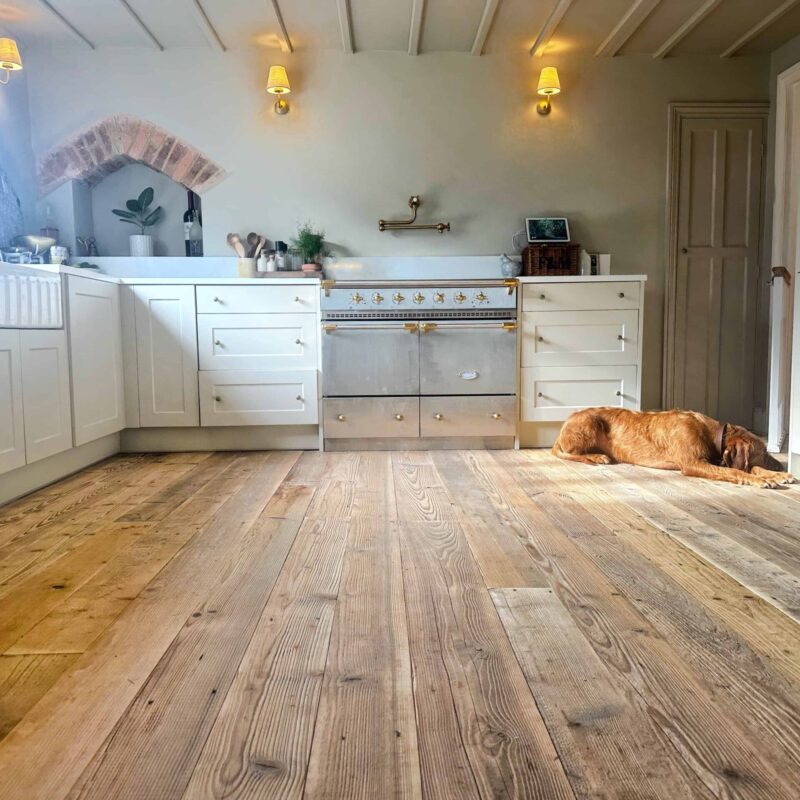 dark brown pine